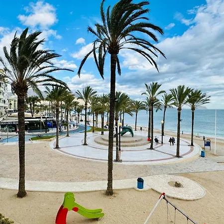 Palatino Albir