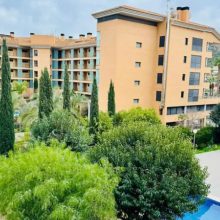 Palatino Albir El Albir
